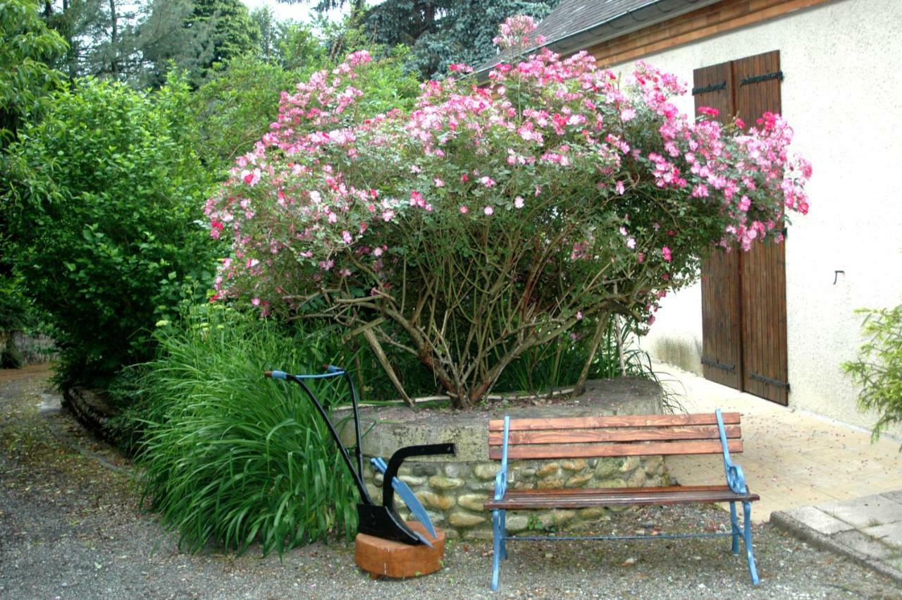 La Demeure Aux Pins Bed & Breakfast Lourdes Bagian luar foto