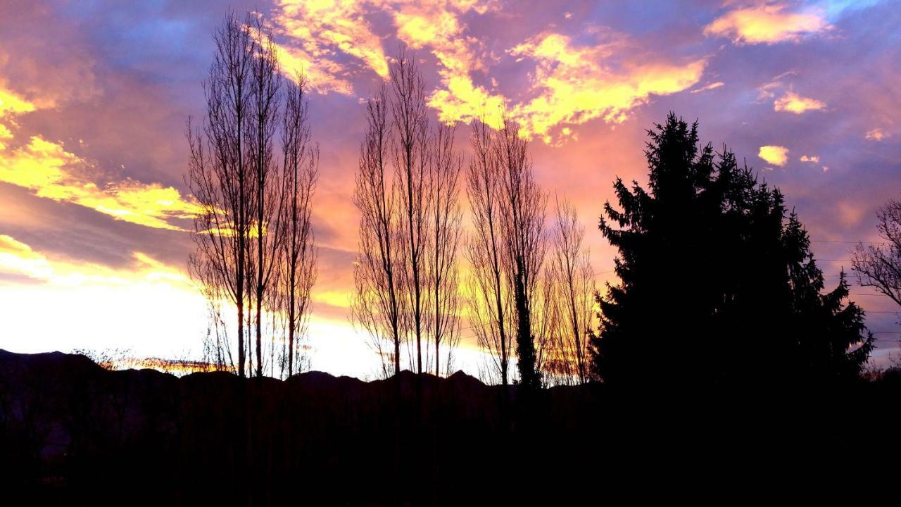 La Demeure Aux Pins Bed & Breakfast Lourdes Bagian luar foto